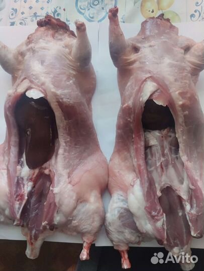 Мясо нутрии