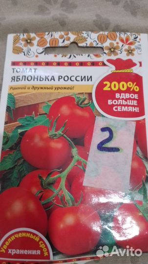 Рассада