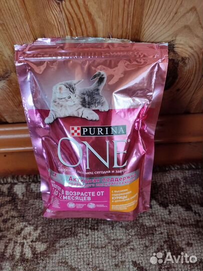 Корм для котят