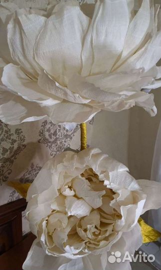 Ростовые цветы