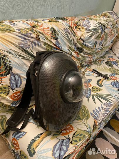 Переноска - рюкзак с окном