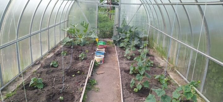 Дом 100 м² на участке 2,7 сот.