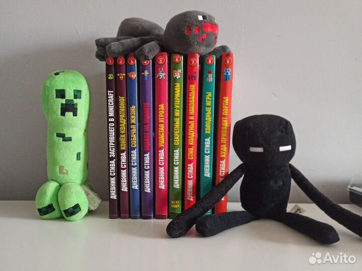 Книга Дневник Стива