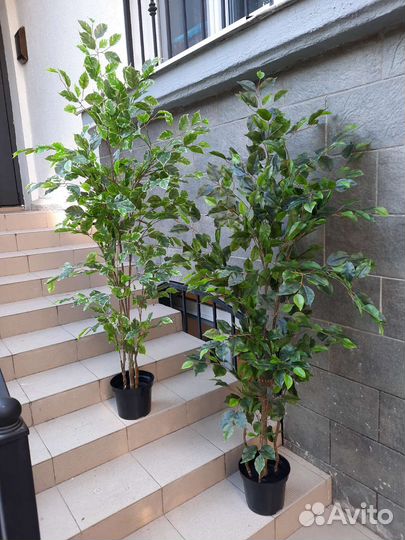 Искусственное дерево фикус