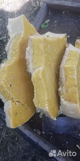 Свежий мед и мед в сотах