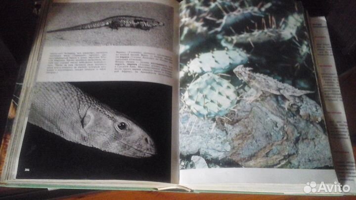 Иллюстрированная энциклопедия животных В Я Станек