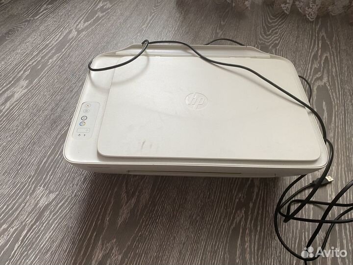 Принтер hp