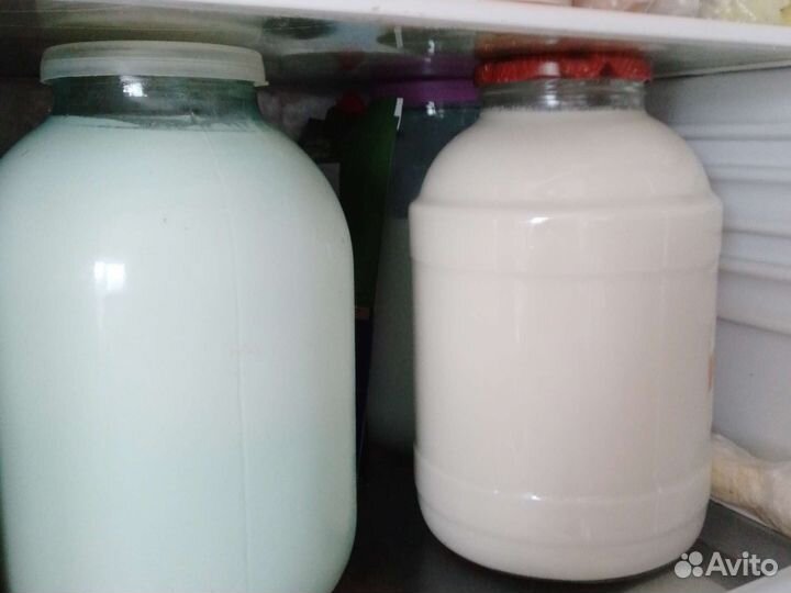 Молоко козье яйцо