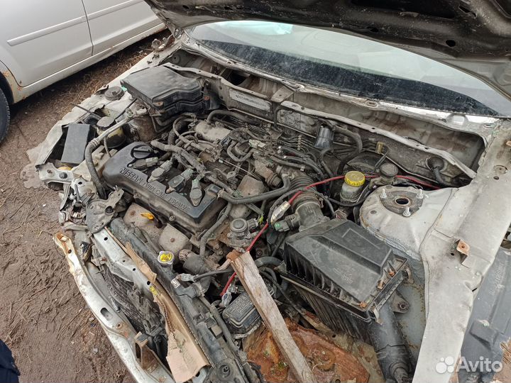 Ниссан Альмера N 16 под разбор 2000 год