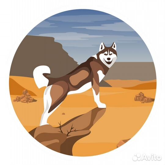 Иллюстратор - графический дизайнер