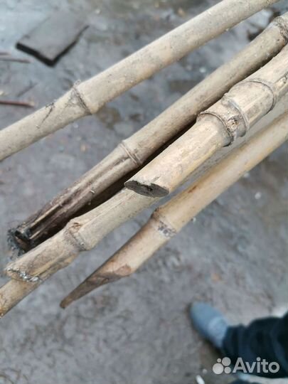 Бамбуковые палки