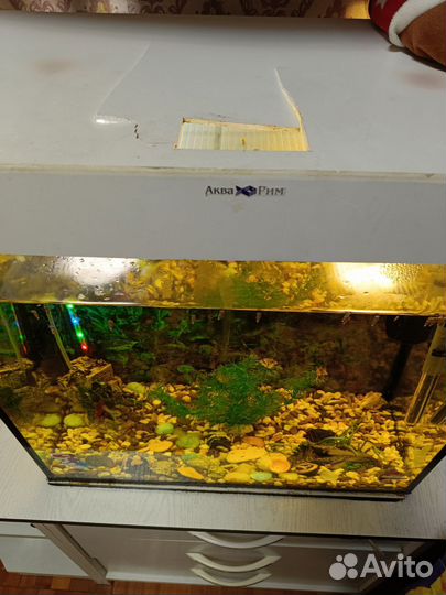 Аквариум