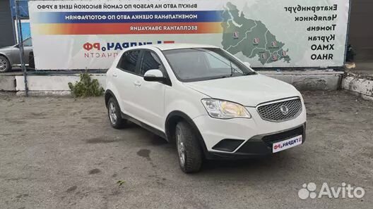 Панель задняя Ssang Yong Actyon New. Дефекты