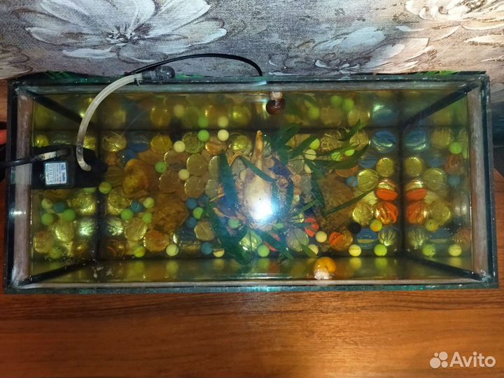 Аквариум для рыбок