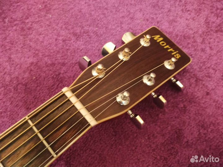 Акустическая гитара Morris W 25