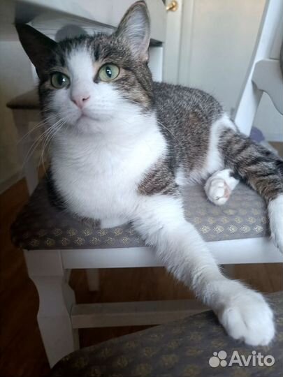 Очаровательная Тэя, 1 год