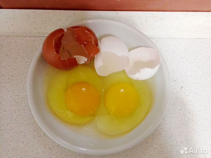 Домашние куриные яйца