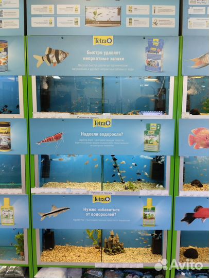 Стойки с аквариумами для продажи рыбок