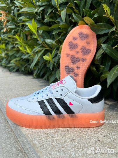 Adidas samba rose