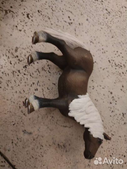 Лошадь шварцвальдская шляйх