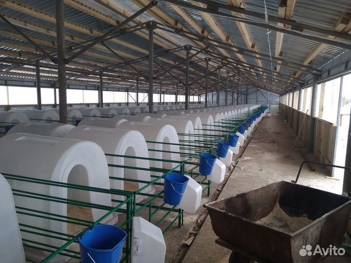 Индивидуальные домики для телят. Групповые домики