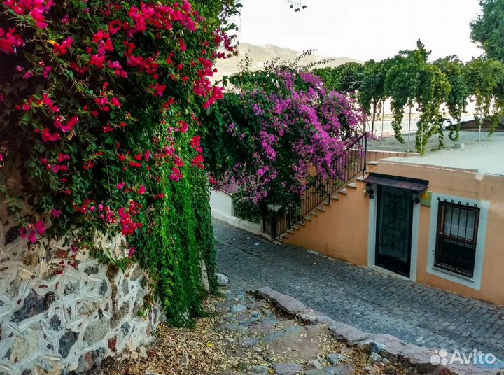 Аланья, Турция 6 нч. отель 4* за 1-го чел