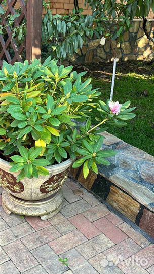 Горшок для цветов напольный