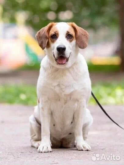 Уникальная Маруся ждет свою семью