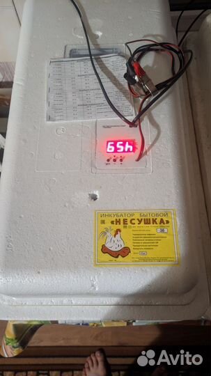 Инкубатор несушка 36