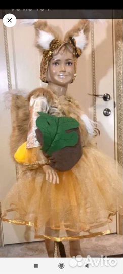 Костюм белка, жук, пчёлка,черепашка и др