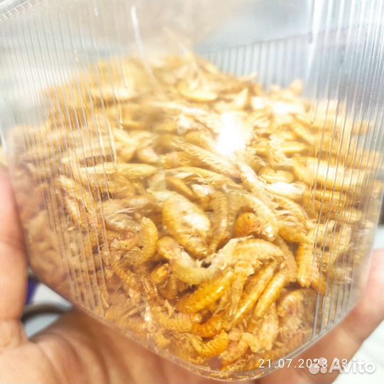 Корм для рыб