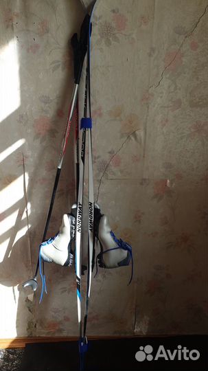 Беговые лыжи