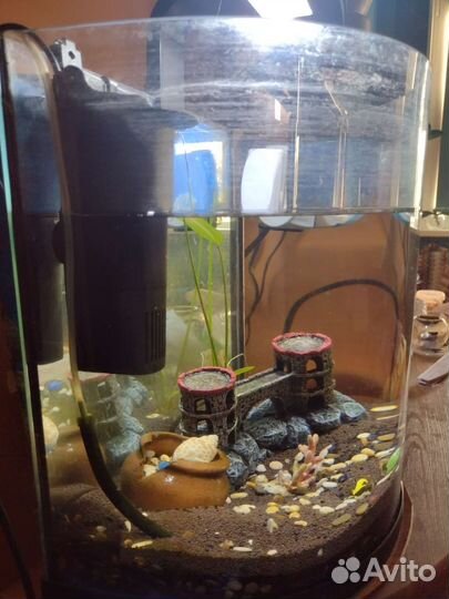 Аквариум tetra 30 литров