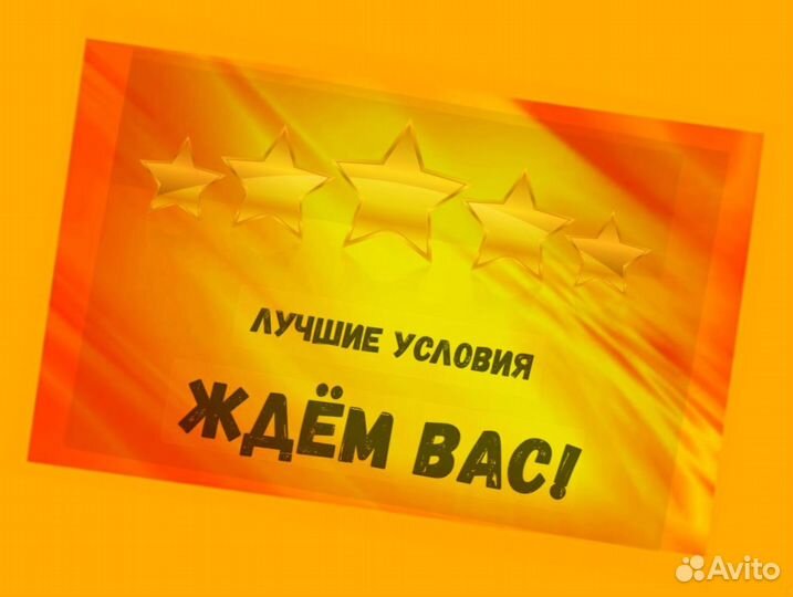 Маркировщик Еженедельный аванс М/Ж Спецодежда