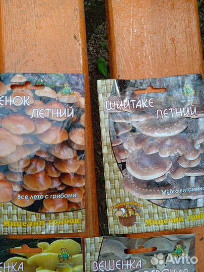 Грибница мицелий для выращ грибов дома шамп. и пр