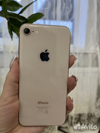 iPhone 8, 64 ГБ
