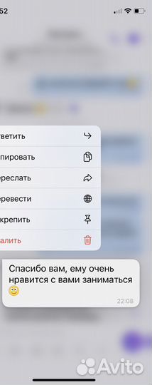 Репетитор по русскому языку и литературе