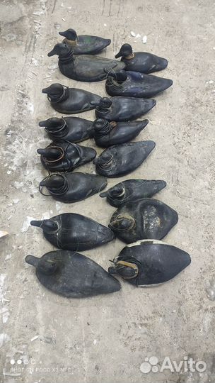 Профиля уток