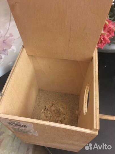 Скворечник