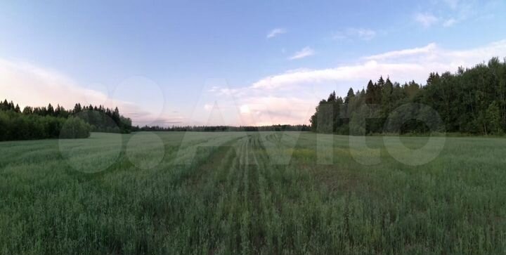 Участок 3 га (СНТ, ДНП)
