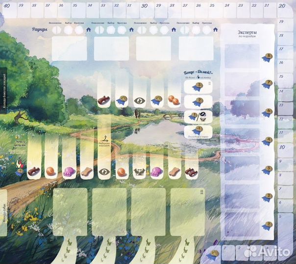 Прогулки с собаками (новая)