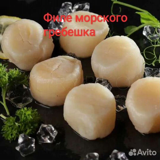 Гребешок курильский