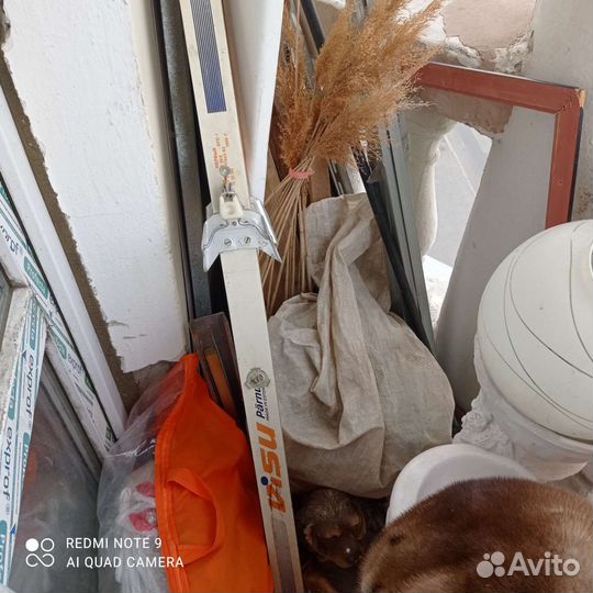 Лыжи тиса винтаж сборная СССР, visu turing