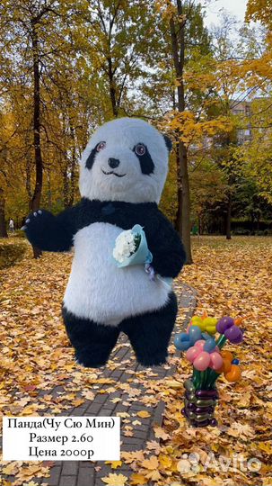 Живая поздравительная открытка