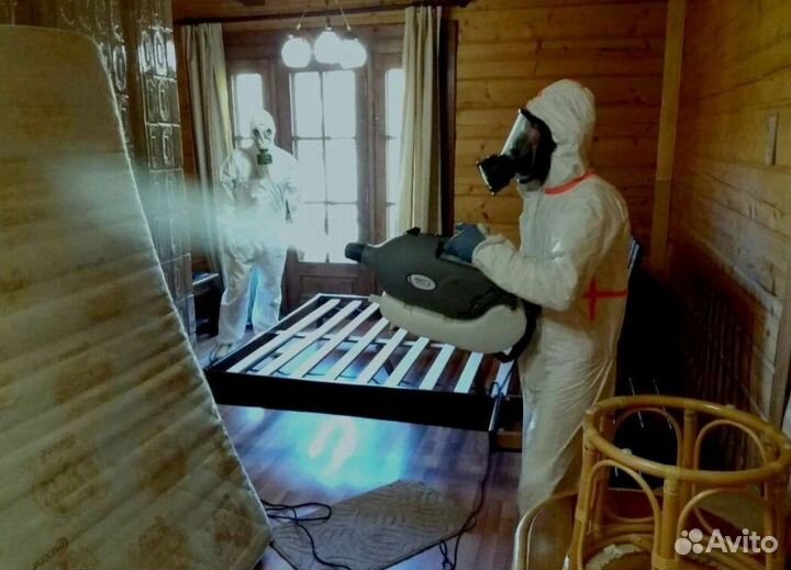 Уничтожение клопов, тараканов, крыс Дезинфекция