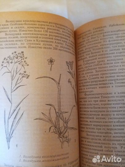 Зелёная аптека