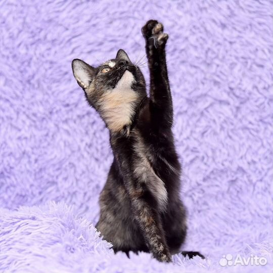 Виталина ищет маму и папу