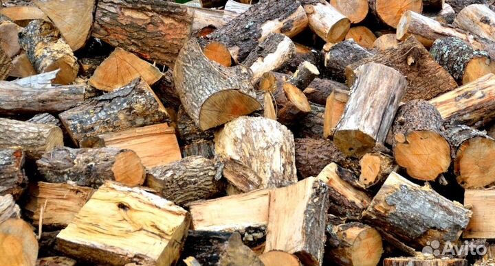 Дрова образцовые