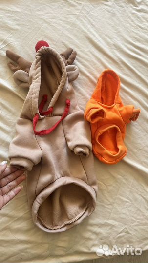 Одежда для собак и кошек