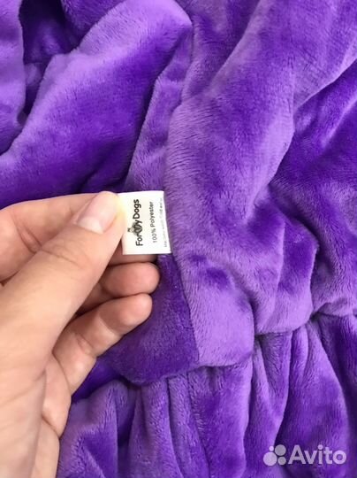 Одежда для собак